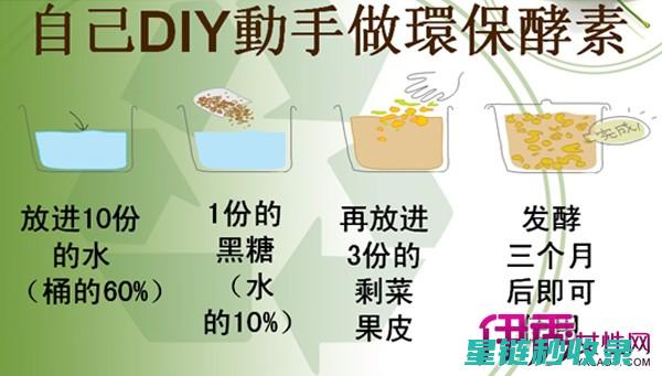 自制酵素：天然健康饮品的秘密配方与制作技巧 (自制天然酵素)