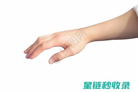 深入解析手部护理：日常保养与特殊修复技巧 (手部解释)