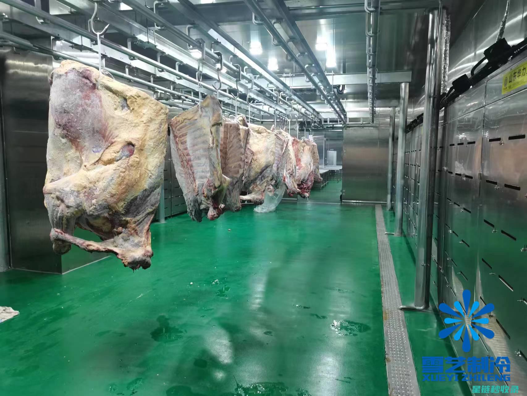 高效解冻肉类技巧，让您省时又省心 (高效解冻肉类有哪些)