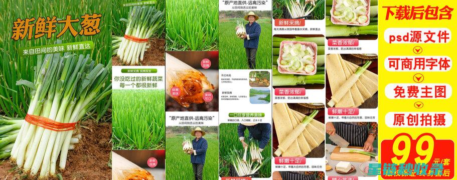 当前大葱供应紧张，商家纷纷采取措施保存大葱，应对市场变化 (当前大葱供应情况)