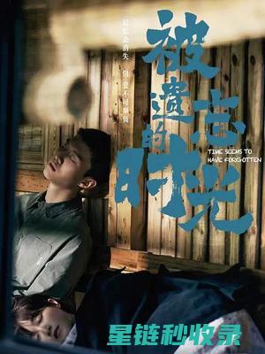 那些被遗忘的生命：流浪动物救助中的感人瞬间 (那些被遗忘的圈子)