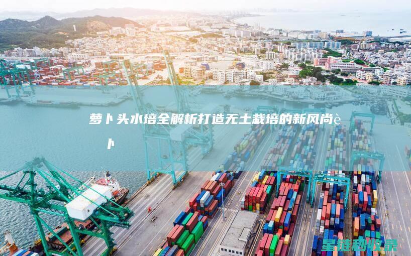 萝卜头水培全解析：打造无土栽培的新风尚 (萝卜头水培会长大么)