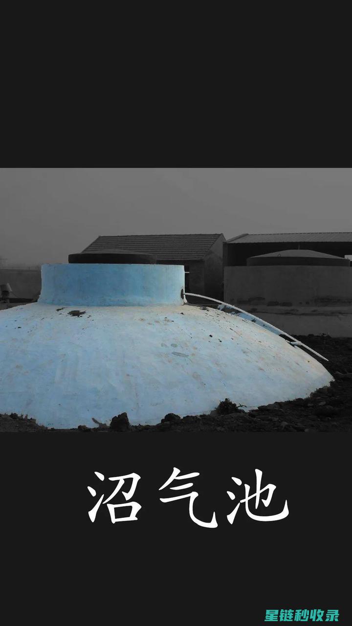 《在有限空间无限可能——阳台种植全攻略》 (在有限空间作业最容易发生的事故类型是)