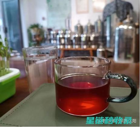 探索自制酵素的魅力：天然健康饮品的制作之道 (探索自制酵素的方法)