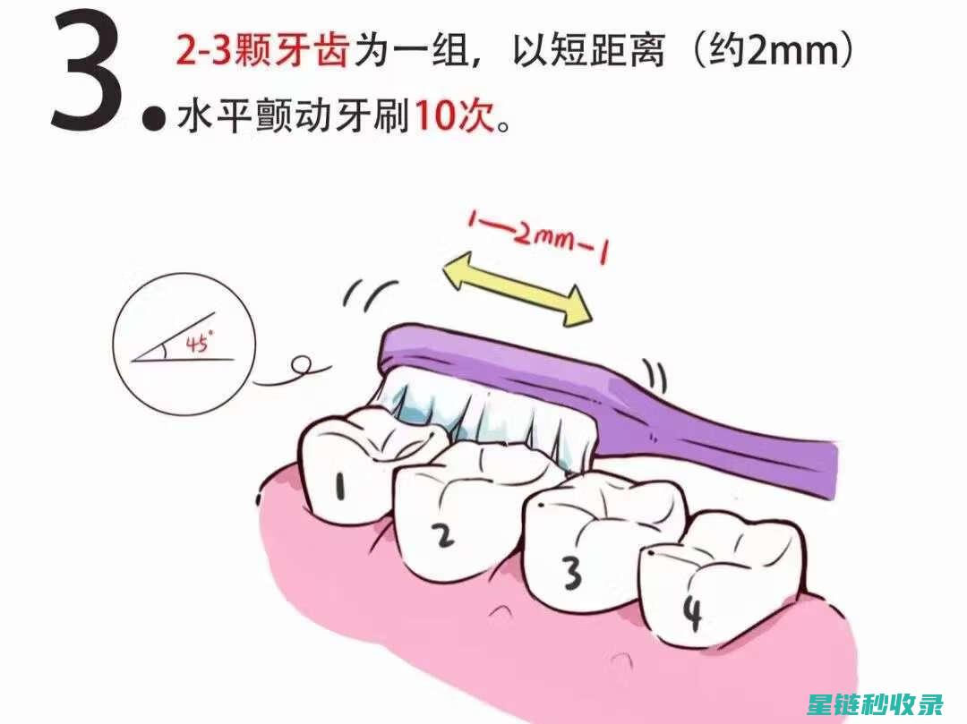 深入了解刷牙方法，让牙齿健康每一天 (深入了解刷牙的好处)