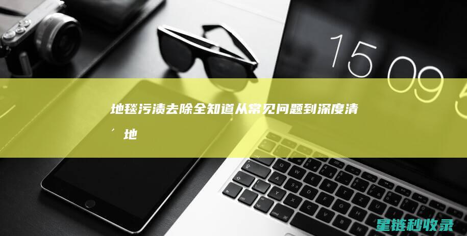 地毯污渍去除全知道：从常见问题到深度清洁 (地毯污渍去除办法)