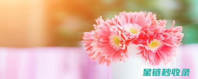 让鲜花保鲜更久：这些小妙招值得试试 (让鲜花保鲜更好的方法)