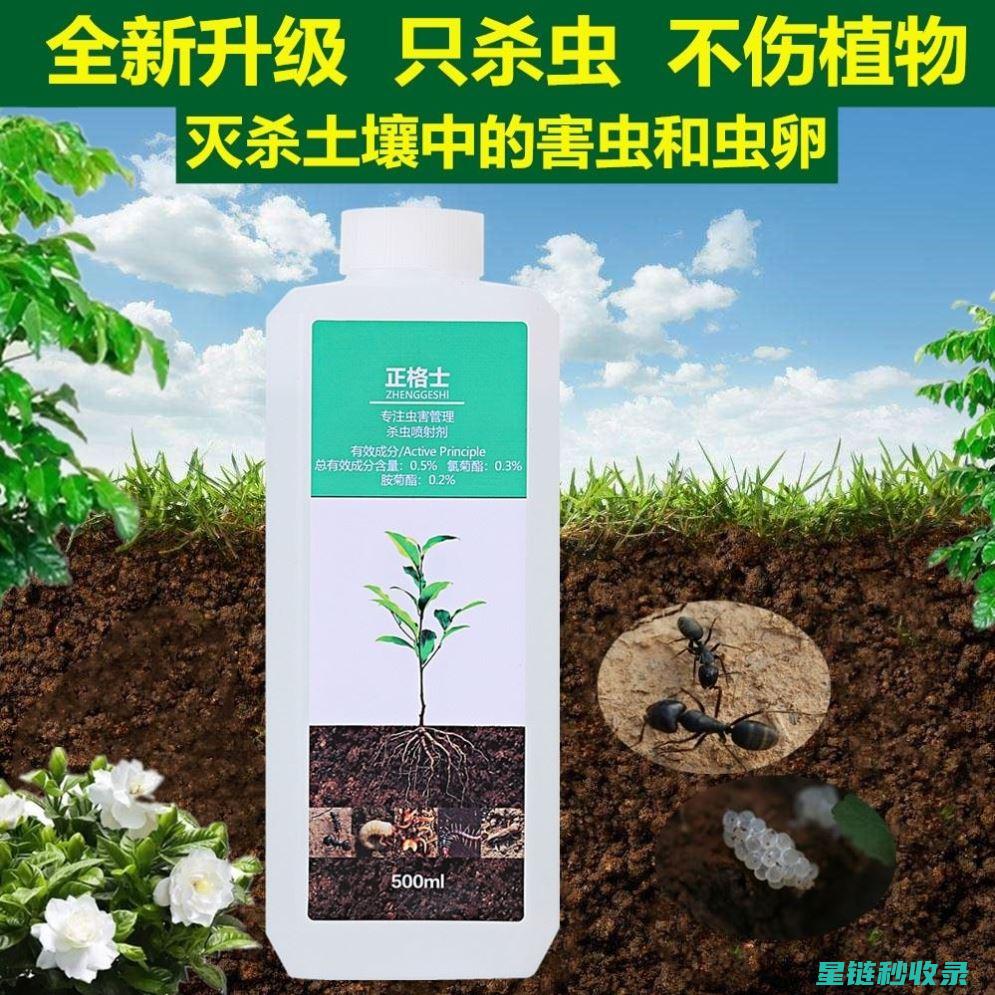 植物驱虫：探索大自然中的驱虫宝藏 (植物 驱虫)