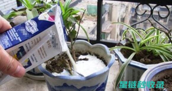 用过期牛奶制作天然清洁剂：简单又高效 (用过期牛奶制作肥皂)
