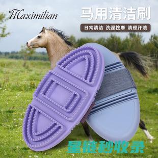 去除卫生间马桶水箱霉点的实用方法，保持卫生 (去除卫生间马桶异味)