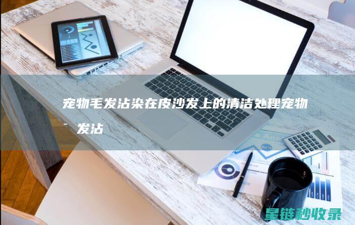 宠物毛发沾染在皮沙发上的清洁处理 (宠物毛发沾染怎么处理)
