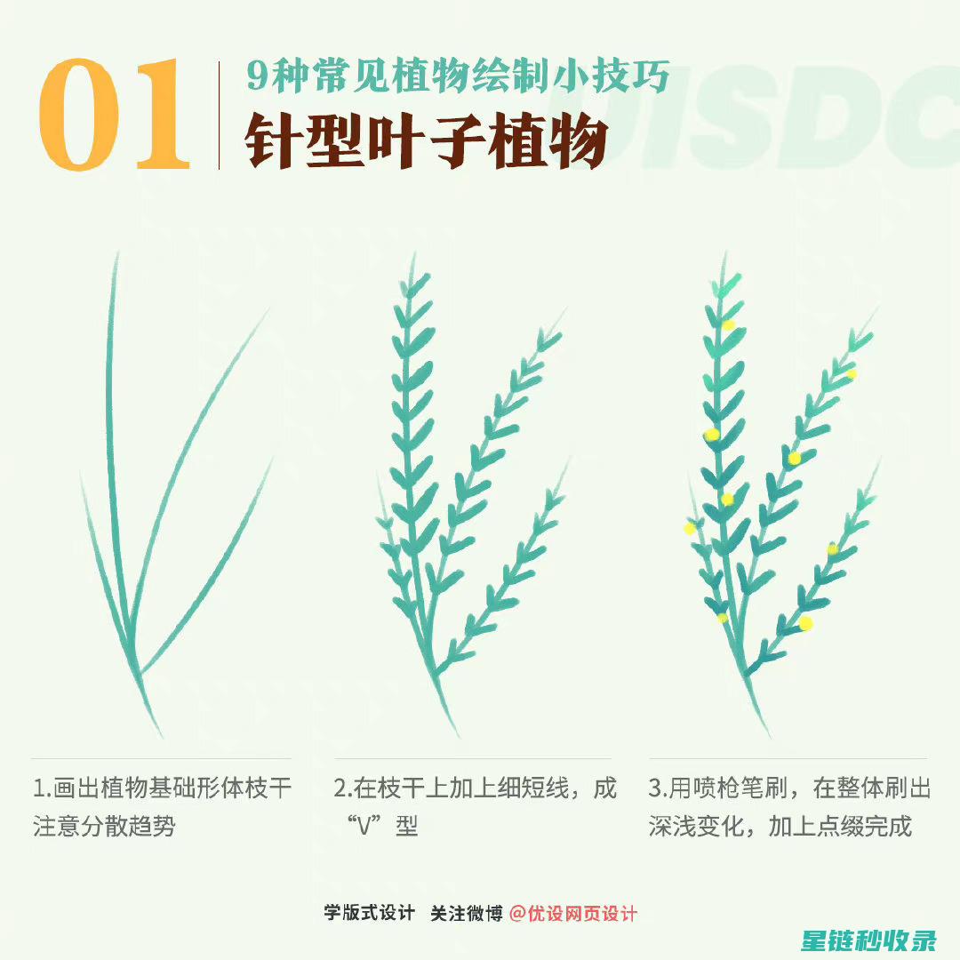 如何让植物叶片保持光亮？专家建议与实践技巧 (如何让植物叶面会光鲜亮丽有光泽)