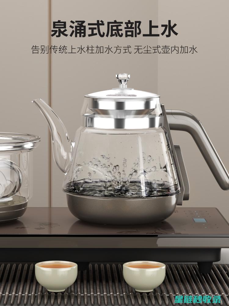 水壶除垢新发现：快速清除水垢的小窍门 (水壶除垢剂的使用方法)