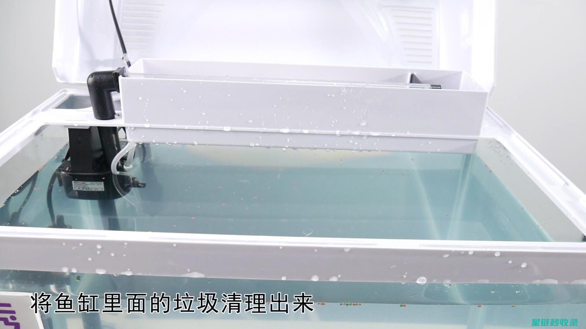 鱼缸清洁中的细节处理：每个角落都不放过 (鱼缸清洁中的污垢)